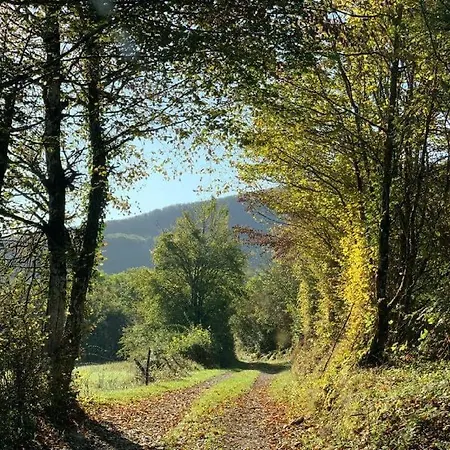 Vakantiehuis L'horizon & - Privatif, Vue Alpes & Nature *